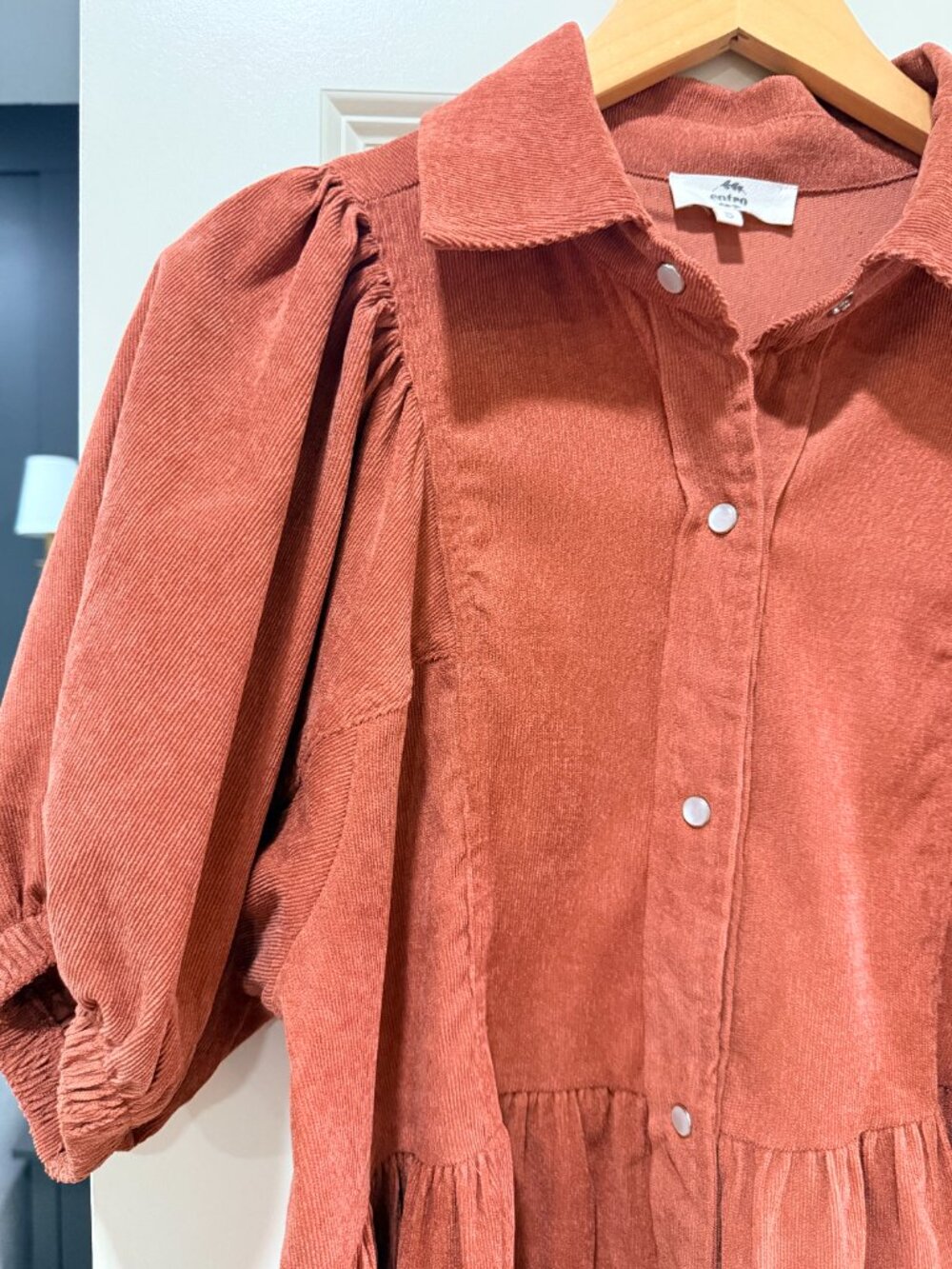 Rust Entro Corduroy Puff Sleeve Dress - Picture 2 of 2